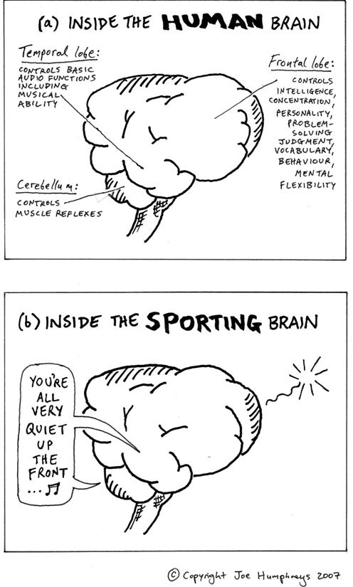 Inside the sporting brain